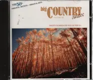 Johnny Cash / Don Gibson / Marty Robbins a.o. - Big Country Classics Volume Six