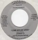 7inch Vinyl Single - Johnny B. - Come Into My Arms