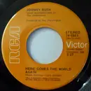 7inch Vinyl Single - Johnny Bush - Here Comes The World Again