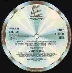 12inch Vinyl Single - Johnny Gill - Rub You The Right Way