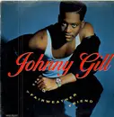 12inch Vinyl Single - Johnny Gill - Fairweather Friend