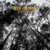 Johnny Flynn - Been Listening -Ltd-