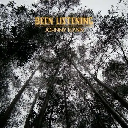 Johnny Flynn - Been Listening -Ltd-