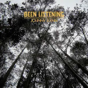 Johnny Flynn - Been Listening