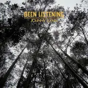 CD - Johnny Flynn - Been Listening