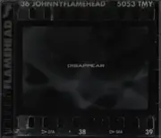 CD - Johnny Flamehead - Disappear