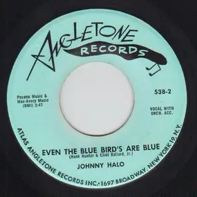 JOHNNY HALO - Little Annie / Even The Bluebirds Are Blue