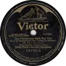 Schellack - Johnny Hamp's Kentucky Serenaders - The Promenade Walk / Cecilia