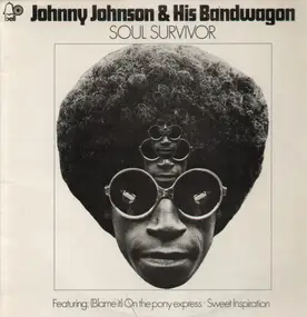 Johnny Johnson - Soul Survivor