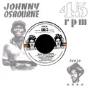 7inch Vinyl Single - Johnny Osbourne / Roots Radics - Never Stop Fighting / Dangerous Match Six
