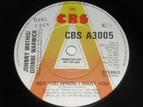 Johnny Mathis - Got You Where I Want You