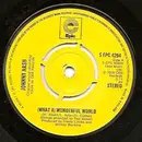 7inch Vinyl Single - Johnny Nash - (What A) Wonderful World / Ooh Baby You've Been Good To Me - Knock-out centre