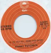 Johnny Paycheck - I'm The Only Hell (Mama Ever Raised)