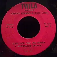 Johnny Robbins & Alice Lynn - Keep The Love Shining