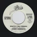 7inch Vinyl Single - Johnny Rodriguez - What'll I Tell Virginia