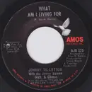 7inch Vinyl Single - Johnny Tillotson With Jimmy Bowen Orchestra & Chorus - What Am I Living For
