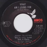 Johnny Tillotson With Jimmy Bowen Orchestra & Chorus - What Am I Living For