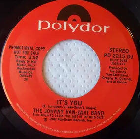 Johnny Van Zant Band - It's You