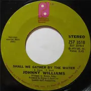 7inch Vinyl Single - Johnny Williams - Slow Motion (Part 1) / Shall We Gather By The Water