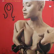 Joi - Sunshine & The Rain