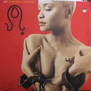 12inch Vinyl Single - Joi - Sunshine & The Rain
