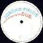Jordan Fields - Moments In Dub