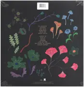 LP & MP3 - José González - Local Valley - Translucent Green Vinyl + Mp3