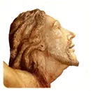 LP - Mesquita - Barroco Mineiro - + Booklet