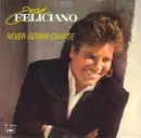 7inch Vinyl Single - Jose Feliciano - Never Gonna Change
