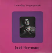 Josef Herrmann - Lebendige Vergangenheit