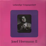 Josef Herrmann - Lebendige Vergangenheit II