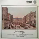 LP - Haydn - Symphonie Nr. 39 In G-Moll / Symphonie Nr. 73 In D-Dur 'La Chasse'