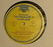LP - Haydn / Mozart - Te Deum, Maurerische Trauermusik C-moll, Adagio und Fuge C-moll, Missa brevis C-Dur (Orgelsolo-Messe) - tulip rim