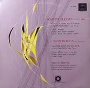LP - Haydn / Beethoven - Trio Di Trieste - Klavier-Trio nr.1 G-Dur 'Zigeunertrio' op.73,2 / Klavier-trio nr.5 D-Dur 'Geistertrio' op.70,1 - Sonderauflage