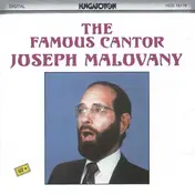 Joseph Malovany - The Famous Cantor