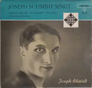 Joseph Schmidt - Joseph Schmidt Singt