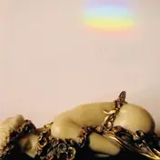 JOSEPHINE FOSTER - No More Lamps in the Morning