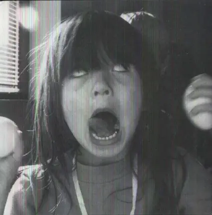 JOSEPHINE FOSTER - Little Life