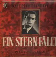 Joseph Stern - Ein Stern Fällt