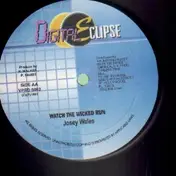 Josey Wales - Watch The Wicked Run / Rasta Trodding