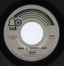 7inch Vinyl Single - Josh - Was A Sunny Day