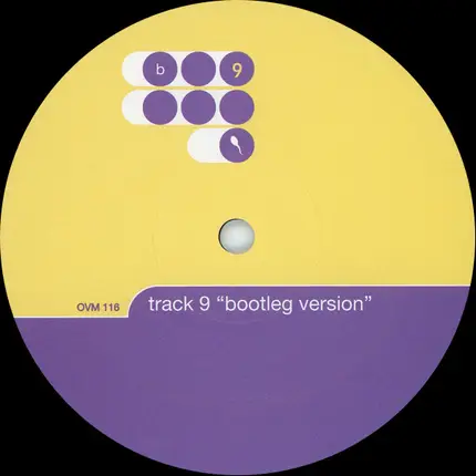 Josh Wink - Track 9 (Bootleg Version)