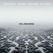 LP - Joshua feat.Miles,Ron/Cooley,Scott  Redman &B Blade - Still Dreaming