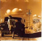 CD - Joshua Kadison - Vanishing America