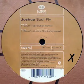 joshua - Soul Fly