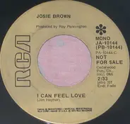 Josie Brown - He Just Loved You Out Of Me/I Can Feel Love
