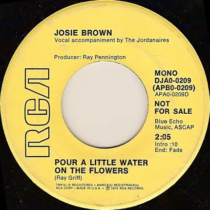Josie Brown - Both Sides Of The Line