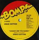 12inch Vinyl Single - Josie Cotton - Johnny Are You Queer?