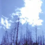 Joss - If Not For The Hovering