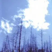 Joss - If Not For The Hovering